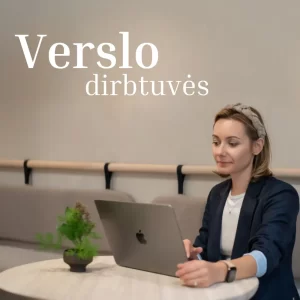 Verslo Dirbtuvės: 20 praktinių pamokų Tavo verslo proveržiui